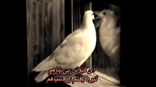 ای کبوتر ناله سر کن - استاد ایرج  Iraj - Ey Kabootar Naleh Sar Kon