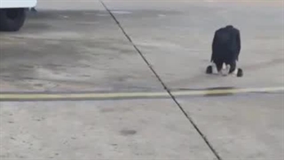 الهی قمیشه ای و نماز