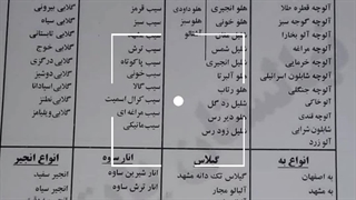 نهالستان پایتخت پیام