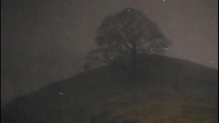 در این دنیا ترسی برای دوستان ما نیست _ استوری  | صبح ظهور