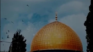 ما عندکم _ استوری  | صبح ظهور