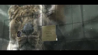 پروژه آماده افتر افکت | دانلود رایگان