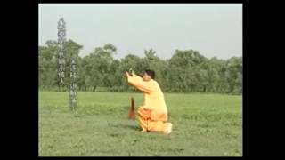 فرم جی ین شو سبک باجی چوان