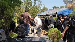 مداحی برای پدر/09125729113