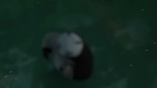 دانلودفیلم پاندایکنگفوکارقسمت دو