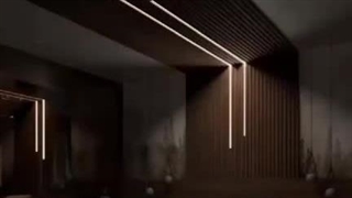 کاربردهای ریسه