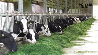 فیدر میکسر گاوداری