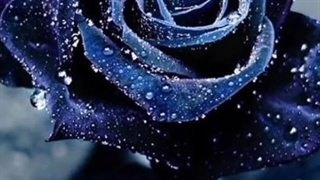 میاین آشنا شیم ؟