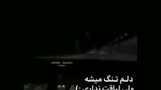 دلم تنگ میشه ولی ......