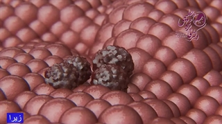 تست پاپ اسمیر