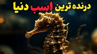 درنده‌ترین جانور درون اقیانوس اسب‌ها
