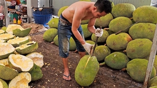 حتما امتحان کنید! بهترین مجموعه میوه های گرمسیری - مهارت های برش میوه