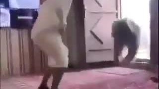 بپر بپر کن تا خرس نتونه بگیرتت!