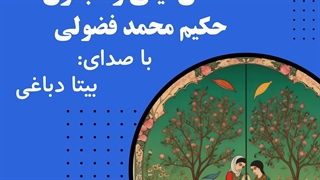 داستان لیلی و مجنون فضولی ( به زبان ترکی)