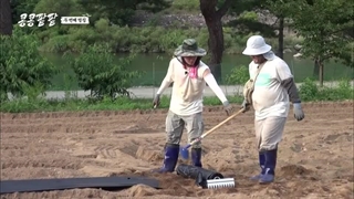 قسمت ۳ برنامه هرچی بکاری همونو درو میکنی Reap What You Sow 2023 باحضور کیونگسو + زیرنویس‌فارسی