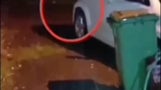 روحی پشت اتومبیل