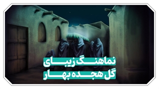 زهرا(س)، زندگی، شهادت