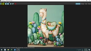 بکدراپ فانتزی