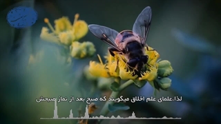 کیفیت عمل به قانون مراقبه(آیت الله العظمی مظاهری)