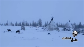 زیر یخ های قطب شمال چی پیدا شده؟