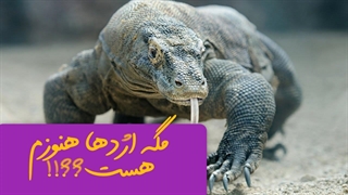 مگه اژدها هنوز وجود داره؟/شاید باور نکنی ولی اژدها هنوزم هست!!