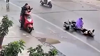 جامعه ای بی تفاوت و حیوانی