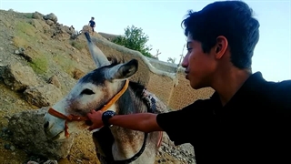 سلام خره عجب خری بود