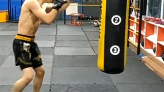 تمرینات mmaایلیاشکاررو