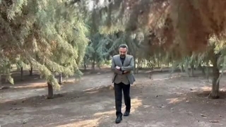 شعر.مرتضی عمادی