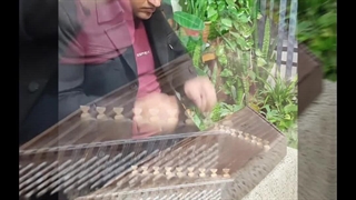 سنتور قطعه موسیقی سریال امام علی ع