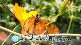 سوره طلاق - ترجمه صوتی و تصویری ۱۱۴ سوره قرآن مهر