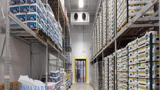 سردخانه خرما