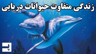 زندگی متفاوت حیوانات دریایی