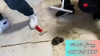 نظافت منزل در شیراز | شرکت نظافتی در شیراز | پرسنل خدمات