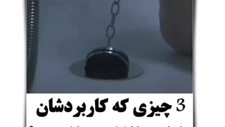 دانستنی روز