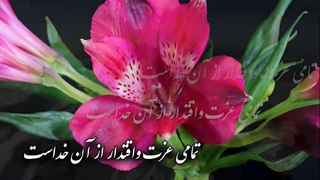 سوره فاطر - ترجمه صوتی و تصویری ۱۱۴ سوره قرآن مهر