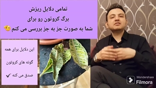 علت ریزش برگ کروتون