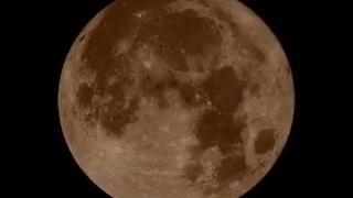 نمیشه گف شب خوبی بود ولی بهتره تموم شه همه دارین نظر میدین و ب یورام داره فشار میاد…