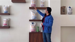 برنج نیم دانه