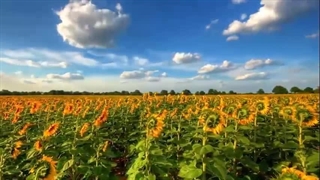 سوره اسراء - ترجمه صوتی و تصویری ۱۱۴ سوره قرآن مهر