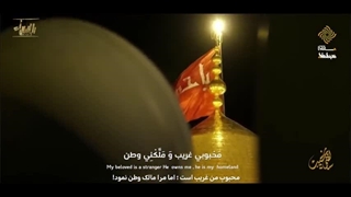 سالفتی نحیب