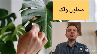 آموزش تمیز کردن برگ گل