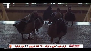 دانلود رایگان قسمت پانزدهم رعدوبرق