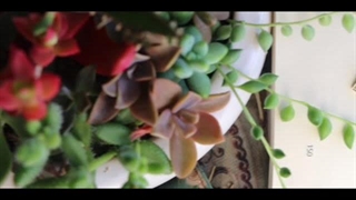 آموزشگاه جواهر سازی الماس کوه نور