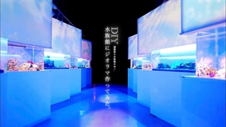 ساخت دیوراما با الهام از آکواریوم در شب