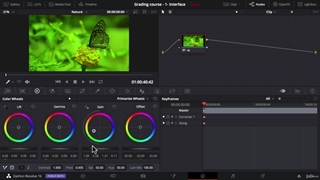 داوینچی 12.11