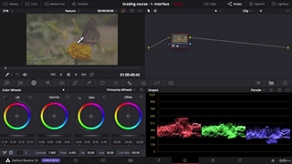 داوینچی 12.12