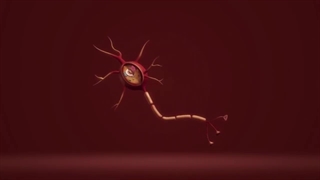 رازهای مغز : حقایقی حیرت آور درمورد مغز انسان