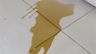 جاروی سه کاره بیسل آمریکایی  هوشمند اسمارت  متصل به گوشی همراه  قیمت در سایت های داخلی 24,500,000تومان قیمت مجموعه چرو