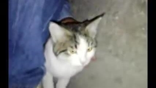 بیا یکم شعر بگیم!(دورهمی فان دوستانه)